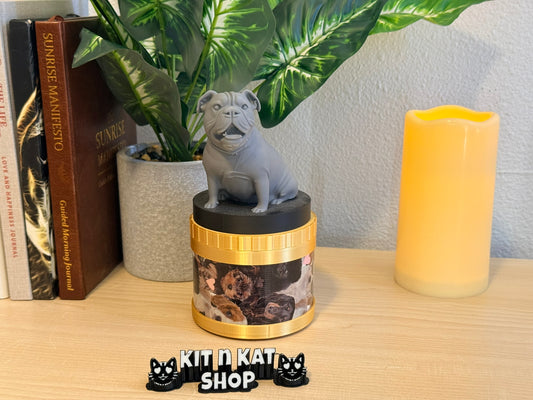 Doggy Smiles Rescue - Snapling™ Vault Base