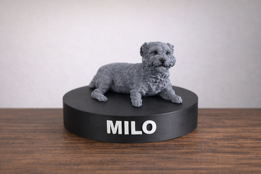 Snaplings™ Memorial Edition